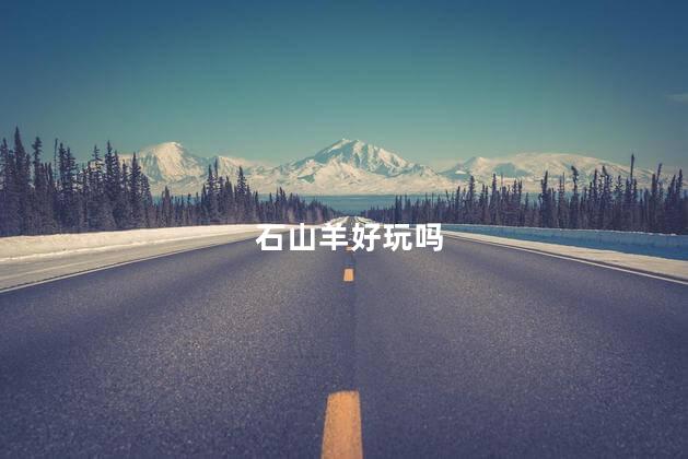 石山羊好玩吗