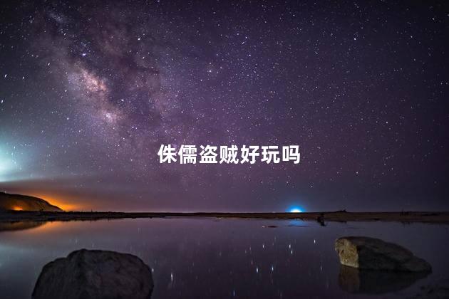 侏儒盗贼好玩吗