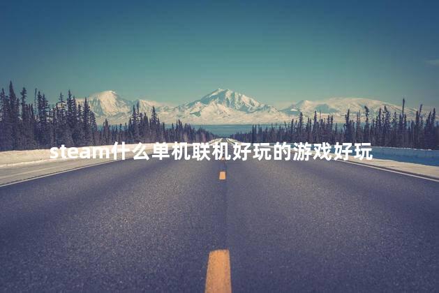 steam什么单机联机好玩的游戏好玩吗