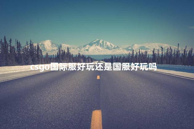 csgo国际服好玩还是国服好玩吗