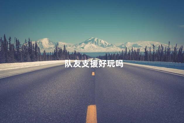 队友支援好玩吗
