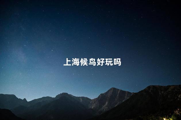 上海候鸟好玩吗