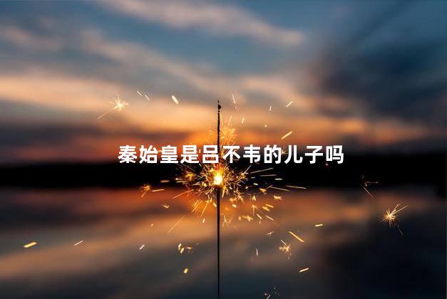 秦始皇是吕不韦的儿子吗