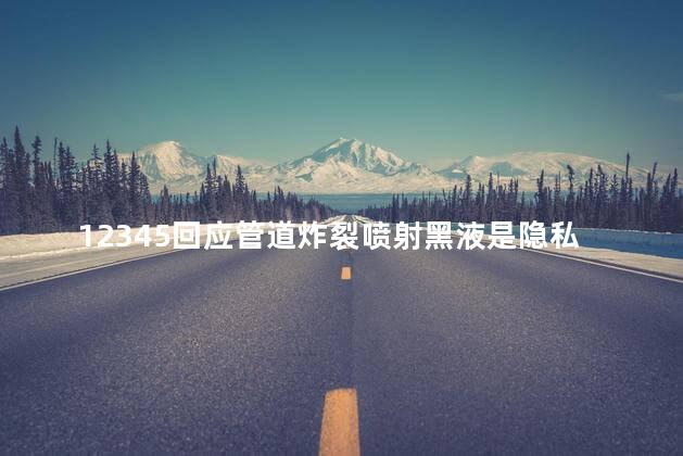 12345回应管道炸裂喷射黑液是隐私，管道炸裂喷射黑液是什么