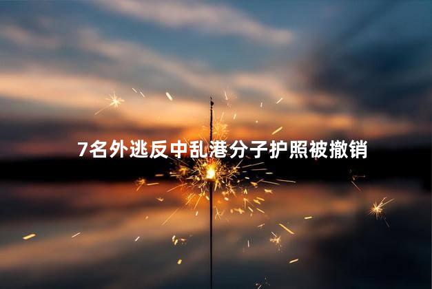 7名外逃反中乱港分子护照被撤销