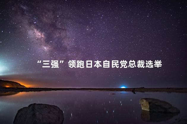 “三强”领跑日本自民党总裁选举