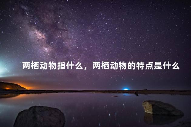 两栖动物指什么，两栖动物的特点是什么
