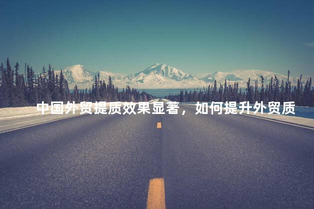 中国外贸提质效果显著，如何提升外贸质量
