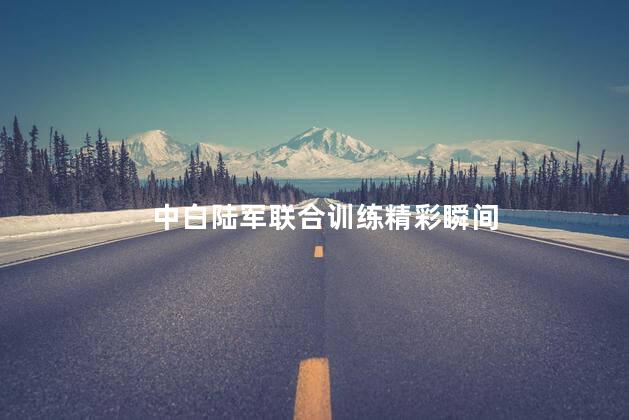 中白陆军联合训练精彩瞬间