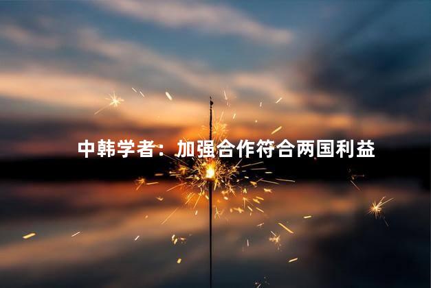 中韩学者：加强合作符合两国利益