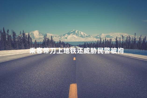 乘客带刀上地铁还威胁民警被拘