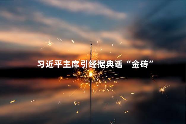 习近平主席引经据典话“金砖”
