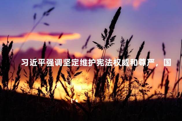 习近平强调坚定维护宪法权威和尊严，国家宪法日吗