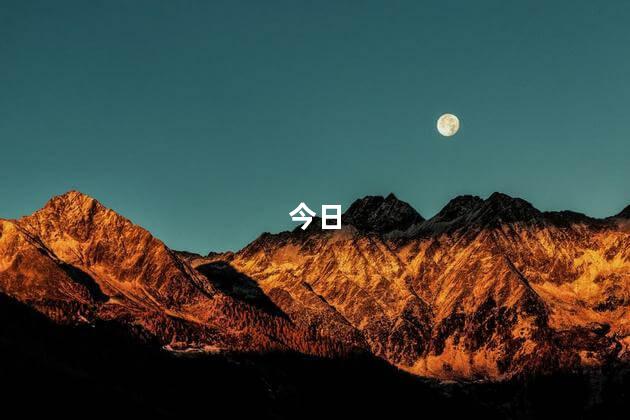 今日共56股涨停