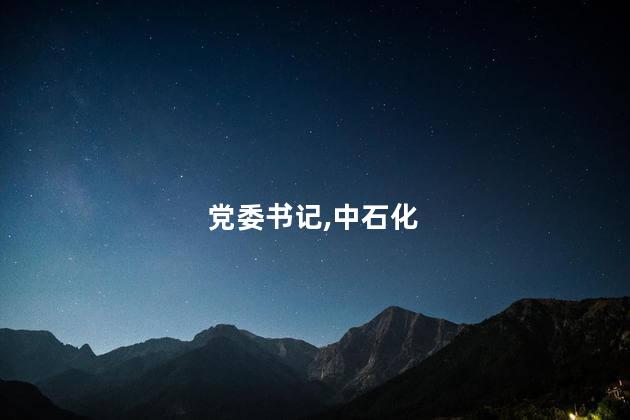 中石化天然气分公司原党委书记获刑