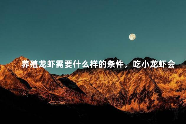 养殖龙虾需要什么样的条件，吃小龙虾会得什么病