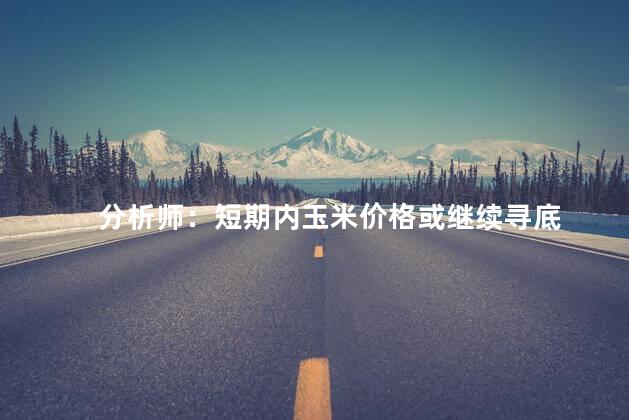 分析师：短期内玉米价格或继续寻底