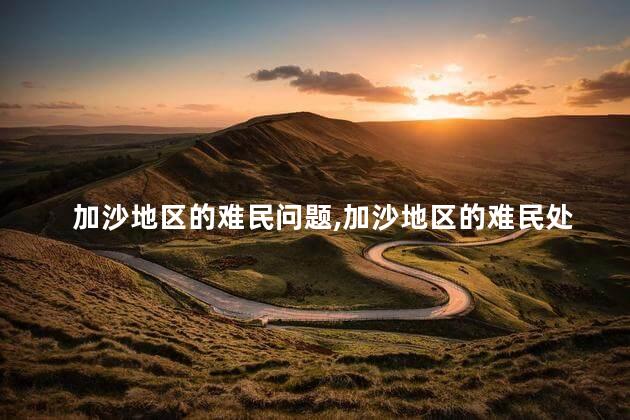 加沙地区的难民问题，加沙地区的难民处于什么环境