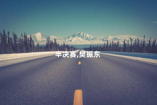 樊振东半决赛4局仅用时31分钟
