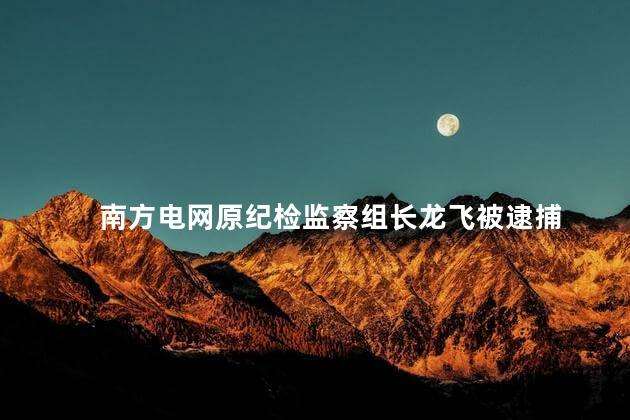 南方电网原纪检监察组长龙飞被逮捕