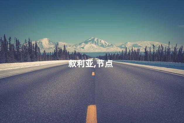 俄专家：叙利亚局势进入危险节点