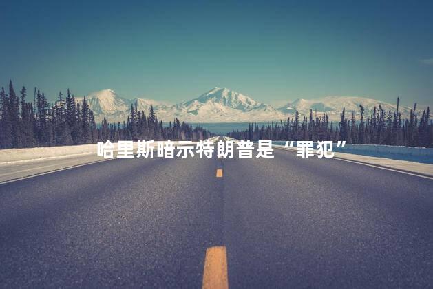 哈里斯暗示特朗普是“罪犯”