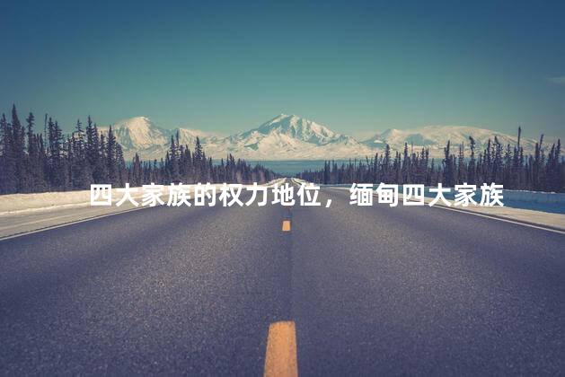 四大家族的权力地位，缅甸四大家族