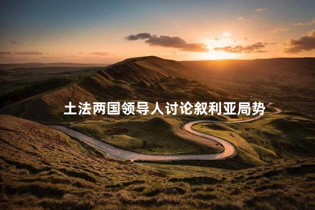 土法两国领导人讨论叙利亚局势