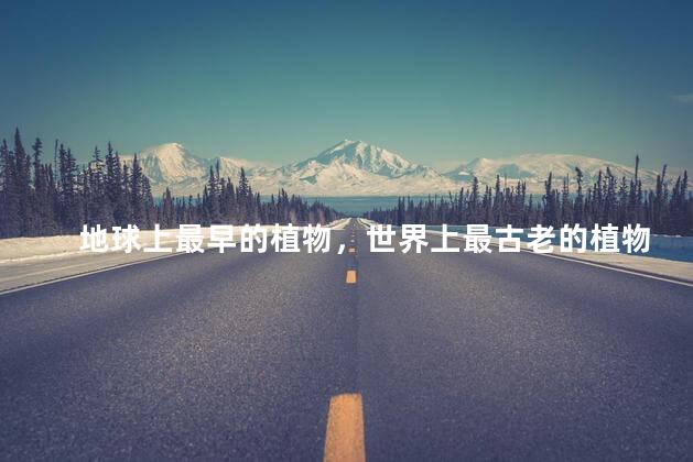 地球上最早的植物，世界上最古老的植物是什么