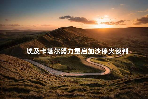埃及卡塔尔努力重启加沙停火谈判