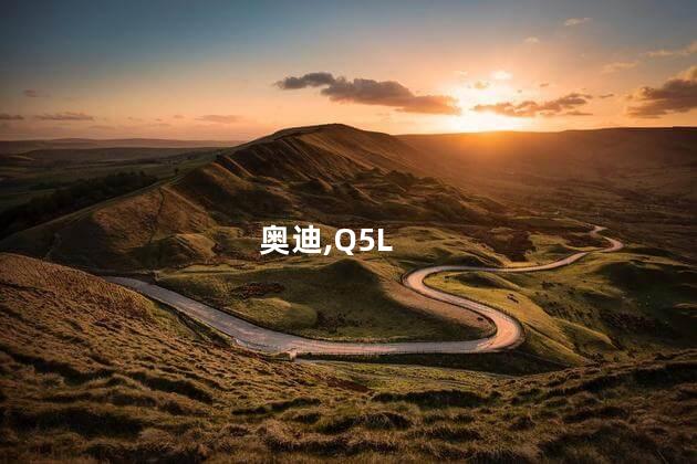 2025款奥迪Q5L实车曝光