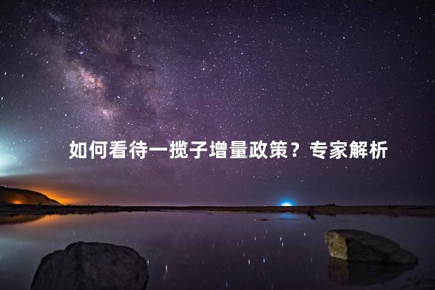如何看待一揽子增量政策？专家解析