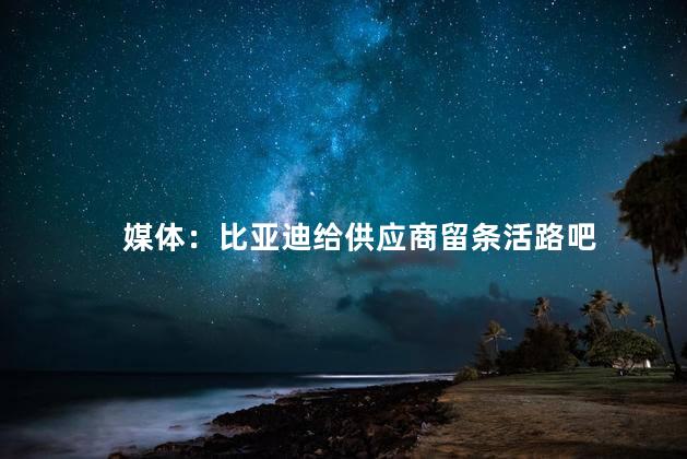 媒体：比亚迪给供应商留条活路吧