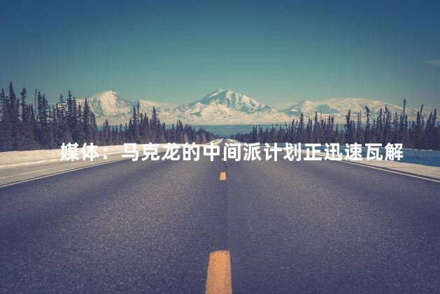 媒体：马克龙的中间派计划正迅速瓦解