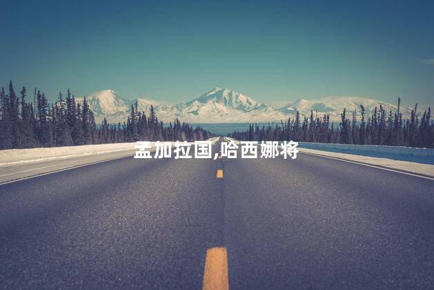 曝孟加拉国若举行选举哈西娜将回国