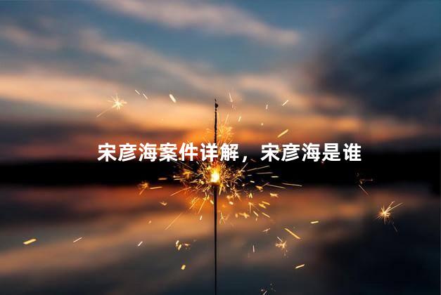 宋彦海案件详解，宋彦海是谁