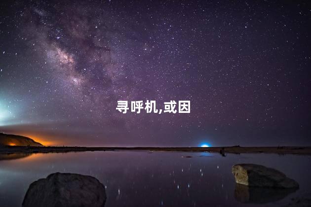 美官员称以或因行动被识破引爆寻呼机