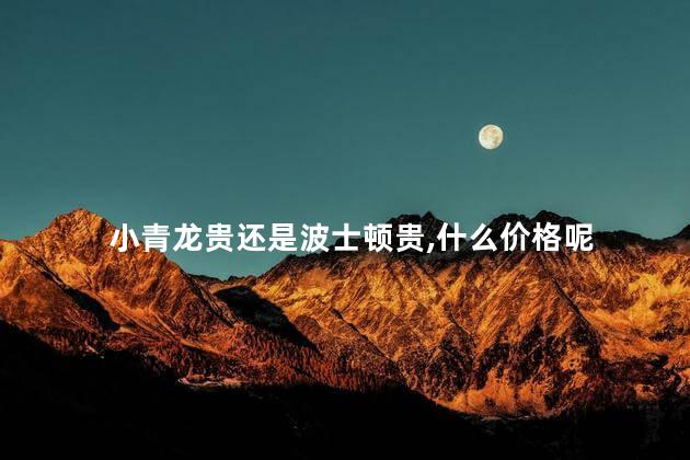 小青龙贵还是波士顿贵，什么价格呢