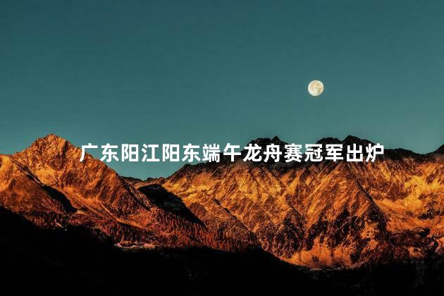 广东阳江阳东端午龙舟赛冠军出炉