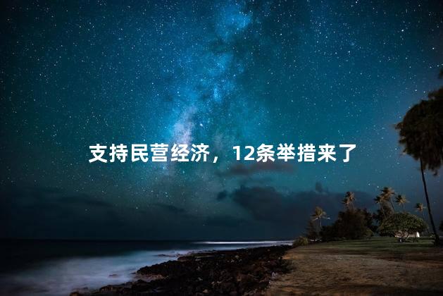 支持民营经济，12条举措来了