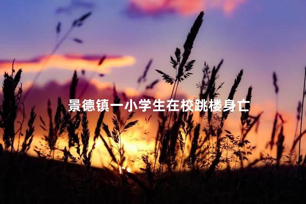 景德镇一小学生在校跳楼身亡