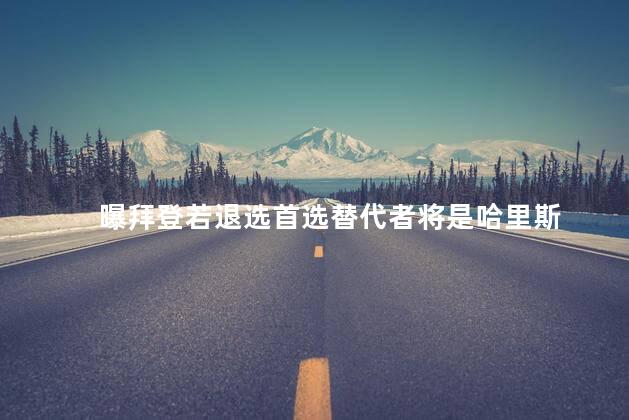 曝拜登若退选首选替代者将是哈里斯