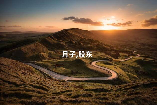 股东回应悦阁月子中心跑路