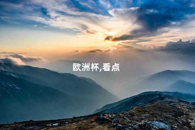 欧洲杯今日看点：荷法大战一触即发