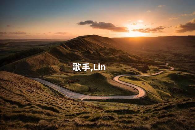 A-Lin报名歌手