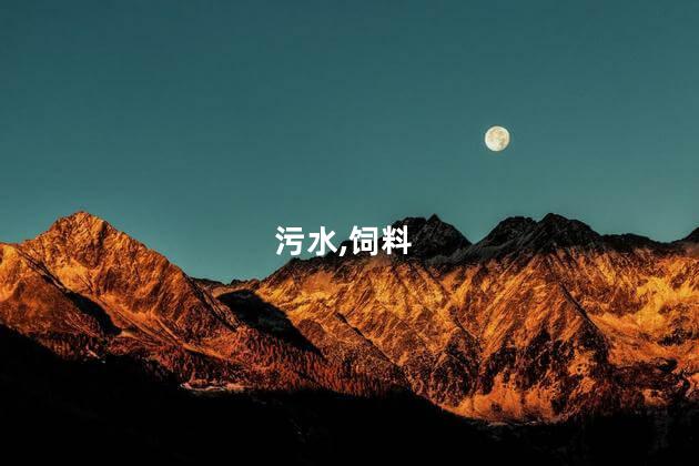 加沙有人靠喝污水和吃动物饲料求生