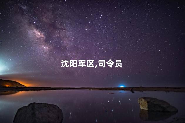 原沈阳军区副司令员宗顺留逝世