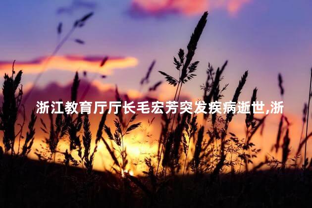 浙江教育厅厅长毛宏芳突发疾病逝世，浙江教育厅厅长毛宏芳什么病