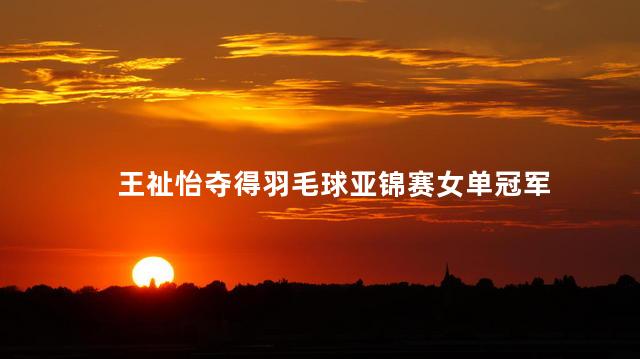 王祉怡夺得羽毛球亚锦赛女单冠军