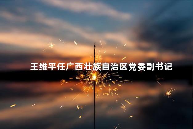 王维平任广西壮族自治区党委副书记